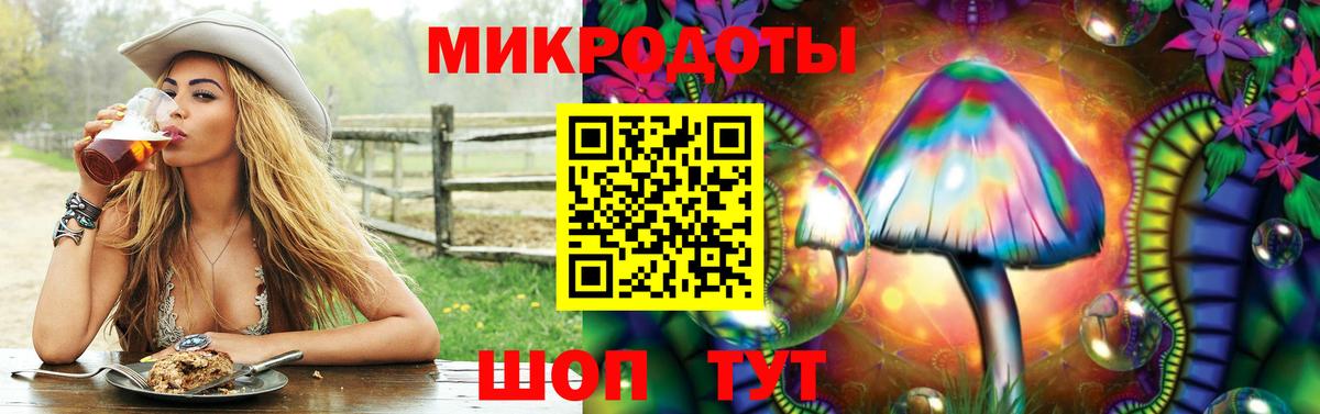 Махачкала  Псилоцибиновые грибы прущие грибы  Вход с VPN  Галлюциногенные грибы ЛСД 