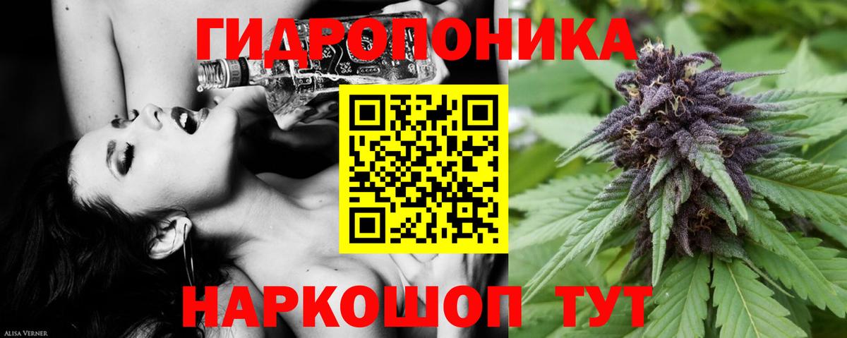 МАРИХУАНА семена Махачкала